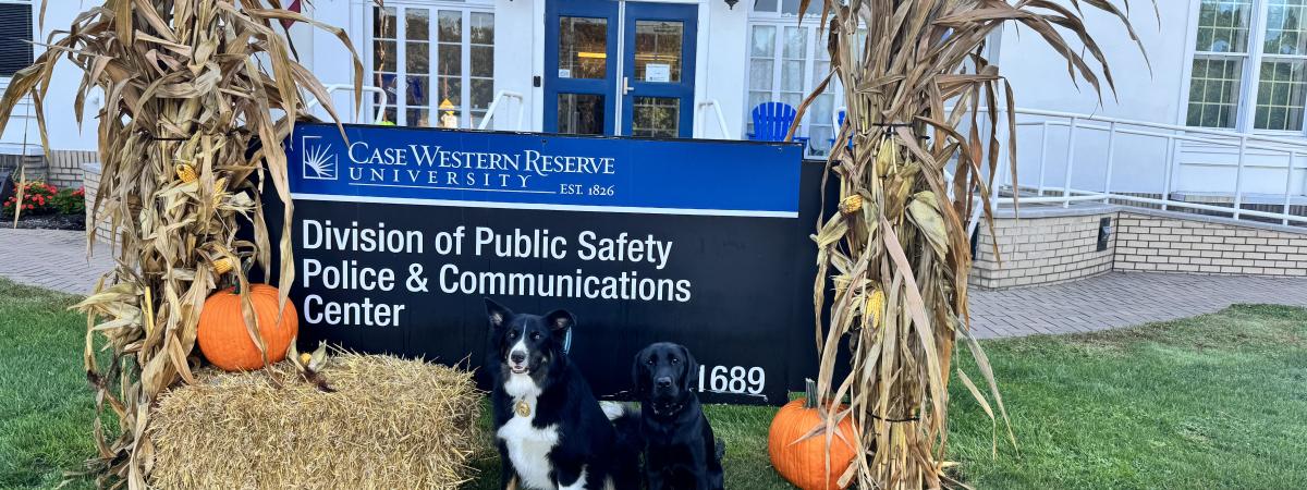 K9s Mav and Athena
