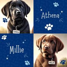 New K9 Millie and Athena