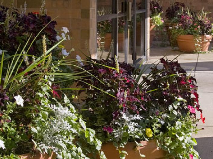 Common space outside building with many potted plants and flowers