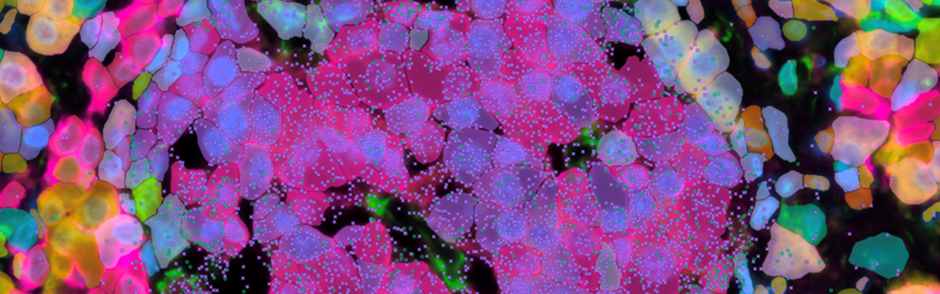 colorful imagery viewed through microscope