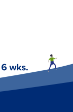 Timeline 6 Weeks