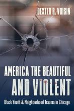 Book cover of "America the Beautiful and Violent" - has an image of a window with a bullet hole and cracked glass