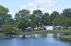 Picture of trees and pond in East Cleveland
