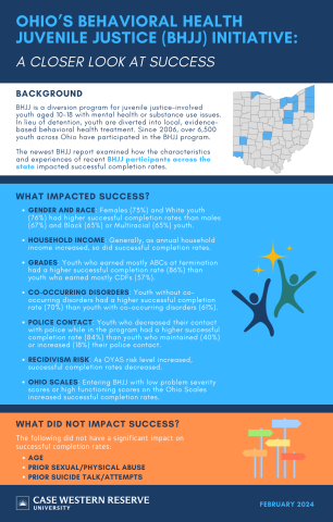 Image showing information on what impacted success. See BHJJ report for wording