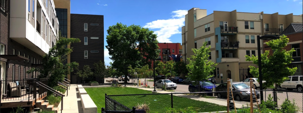 Outdoor garden surrounded by urban apartment buildings