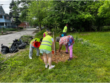 Volunteers working on planting a tree