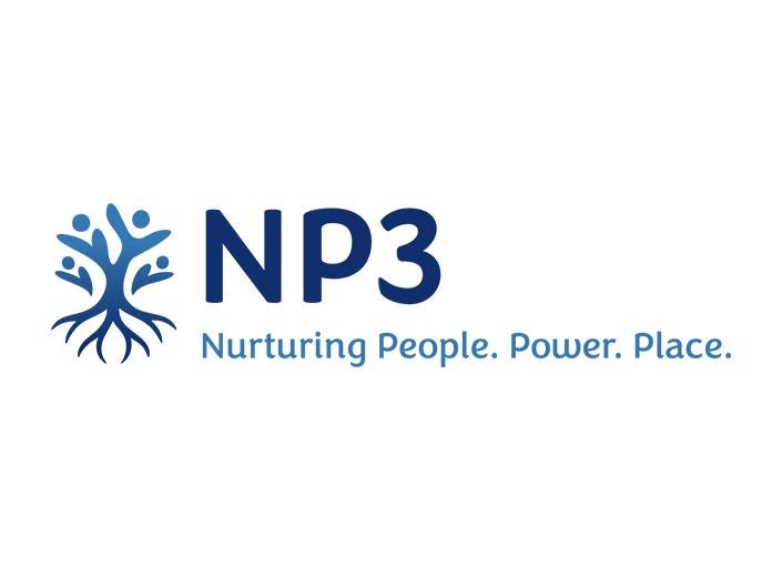 NP3 logo horizontal