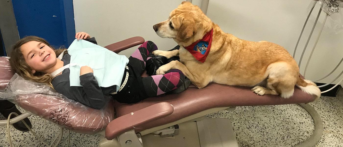 therapy dog for child with anxiety