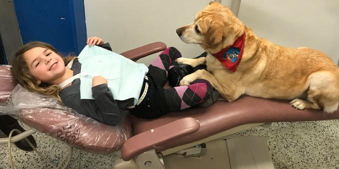 Child lies in dentist chair with therapy dog watching 
