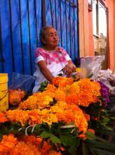 Older woman sitting behind large display of bright orange flowers