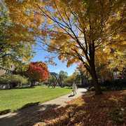 Fall break campus walks >>>

See you tomorrow, Spartans! ☀️🍁