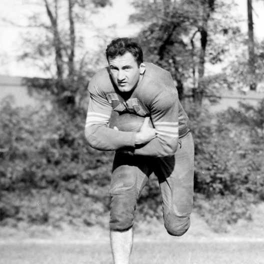 headshot of Steve Belichick