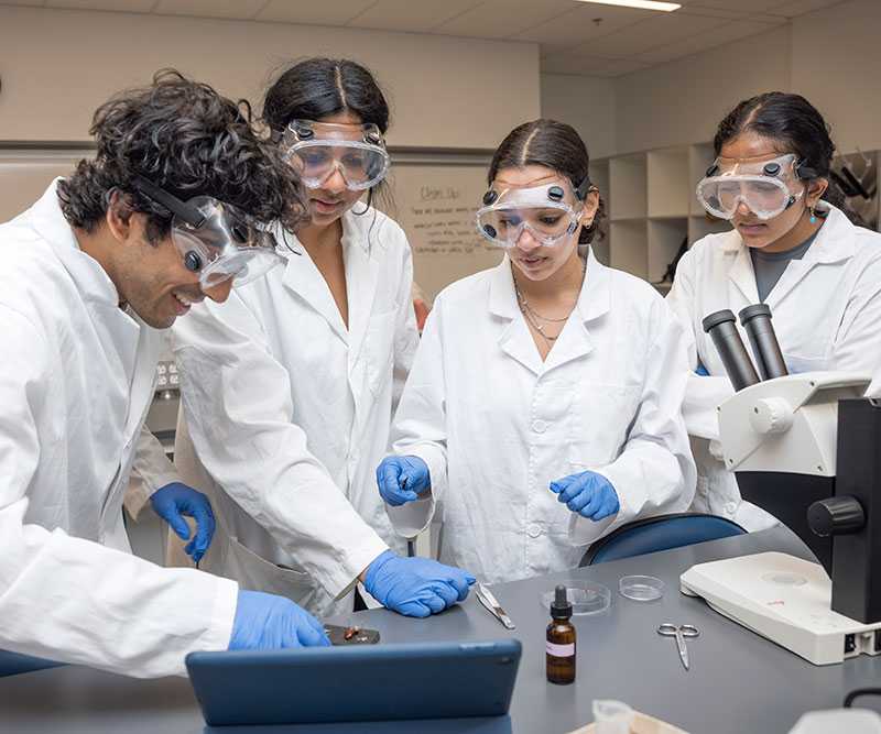 Four students in the medical lab doing experiments