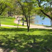 An ode to springtime sights around CWRU’s campus 🌷🌸🌳 Happy Earth Day, Spartans! 🌎✨