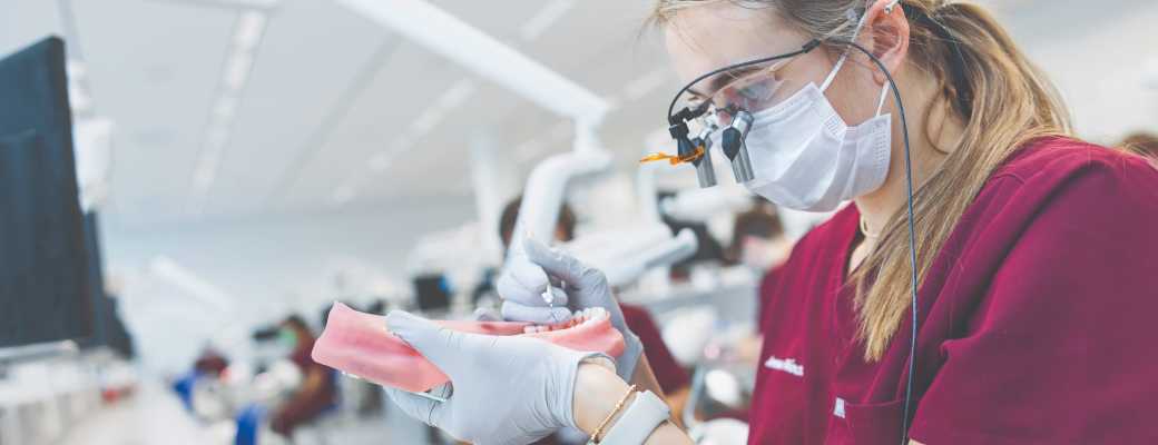 A dental student performing hands on research with a practice set of dentures.