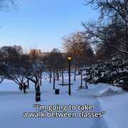 Romanticizing the walk between classes 🌅