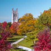 The 2025 Fall at CWRU photo contest is now open! 🍂 Calling all students, faculty and staff to share their best fall photos from around campus for a chance to win exclusive CWRU swag items 👀💙 Learn more and make your submission at the link in bio.