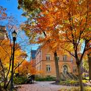 There’s still time to make your submission to the 2025 Fall at CWRU photo contest 🍁📸 Submit your best shot at the link in our bio by midnight Thursday, Oct. 30. ⏰