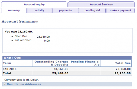A screenshot of the SIS Account Summary section