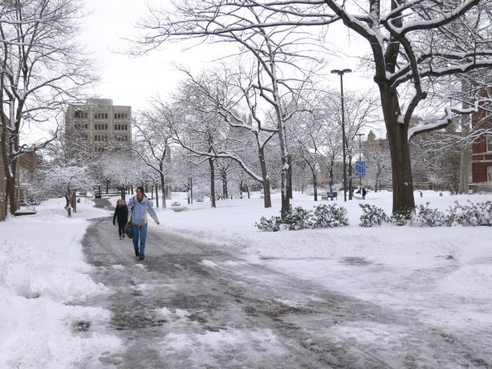 Case Quad Winter
