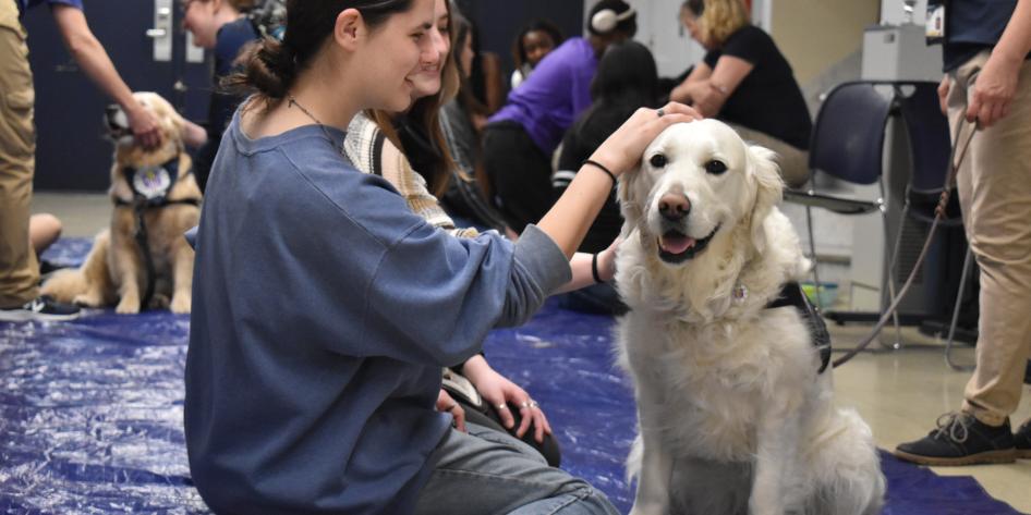 Student petting therapy dog at TSO