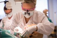 Pre-Professional Scholars Program in Dentistry Case Western Reserve University Woman in lab coat working on model