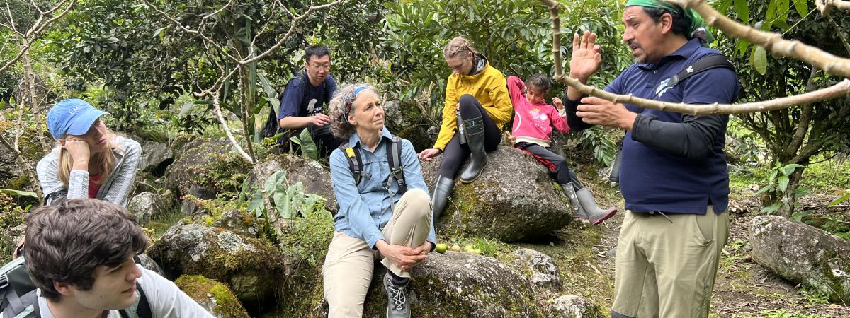 Faculty and students listen to guide in Ecuador rainforest