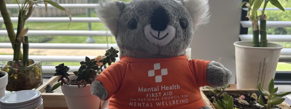 Mental Health First Aid Koala 