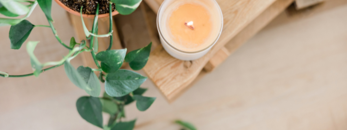 Candle on a table with a plant 