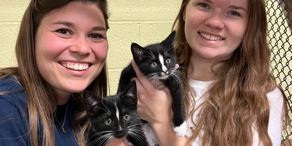 Photo of Residence Life Staff with Kittens
