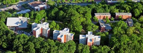 Image of Carlton Road from Above