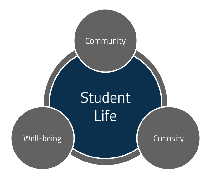 Diagram showing our core values (community, well-being, and curiosity) surrounding student life