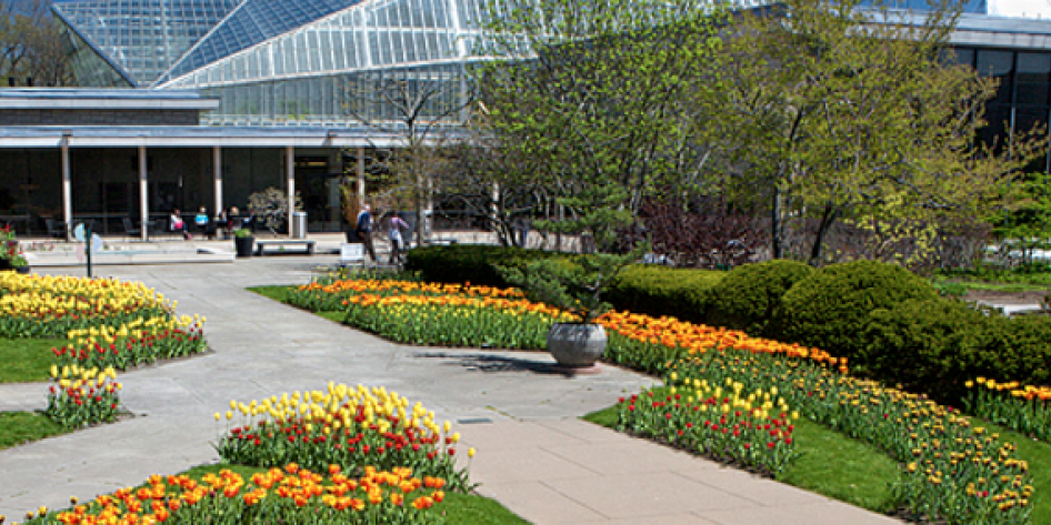 Garden at Cleveland Botanical Gardens 