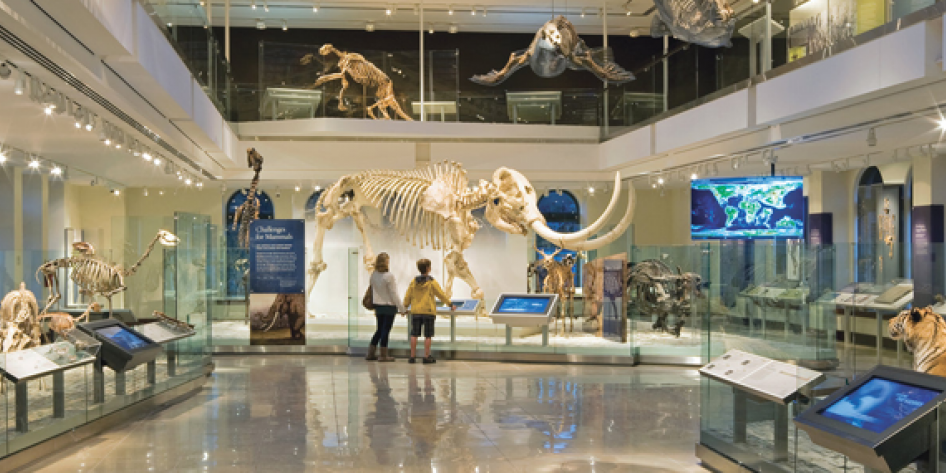 Interior of natural history museum with dinosaurs