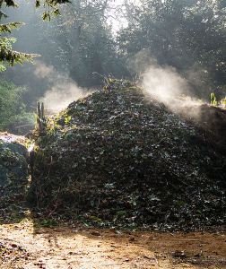 Image of a compost heap