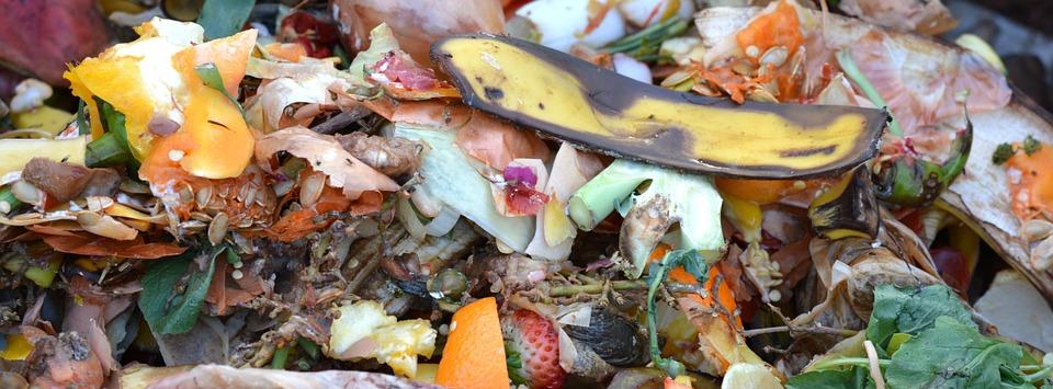 image of composting food
