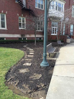 image of garden