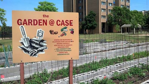 image of Garden @ Case