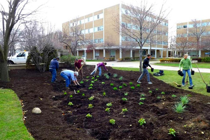 A rain garden being built by a residential hall