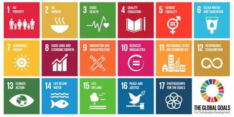 UN global goals grid