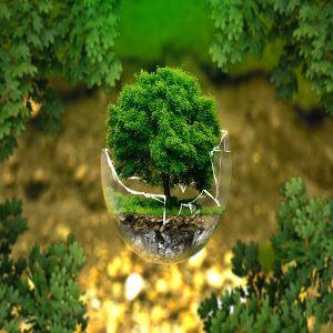 Environmental health and sustainability