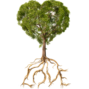 Tree of love