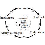 Causal Loop Diagram for Nutritious Food Access