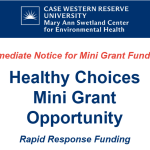 Immediate Notice for Mini Grant Funding: Healthy Choices Project Mini Grant Opportunity, Rapid Response Funding