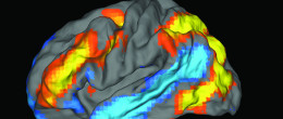 Studying brain reactions to health messages may reveal ways to alter behavior.