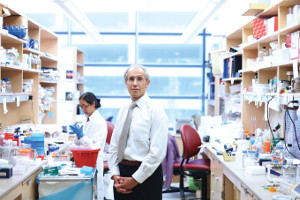 A photo of CWRU medicine professor Stanton Gerson standing in front of a lab station.