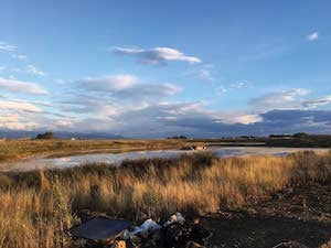 Rain-made lake surrounded by tall grass and blue skies in Greece.