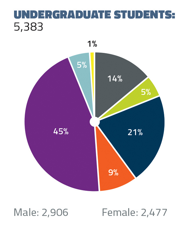 Undergraduate Students: 5,383 (2,906 Males, 2,477 Females). 45% White, 21% Asian, 14% International, 9% Hispanic/Latinx, 5% African American, 5% Multiracial, 1% Unknown/Not specified