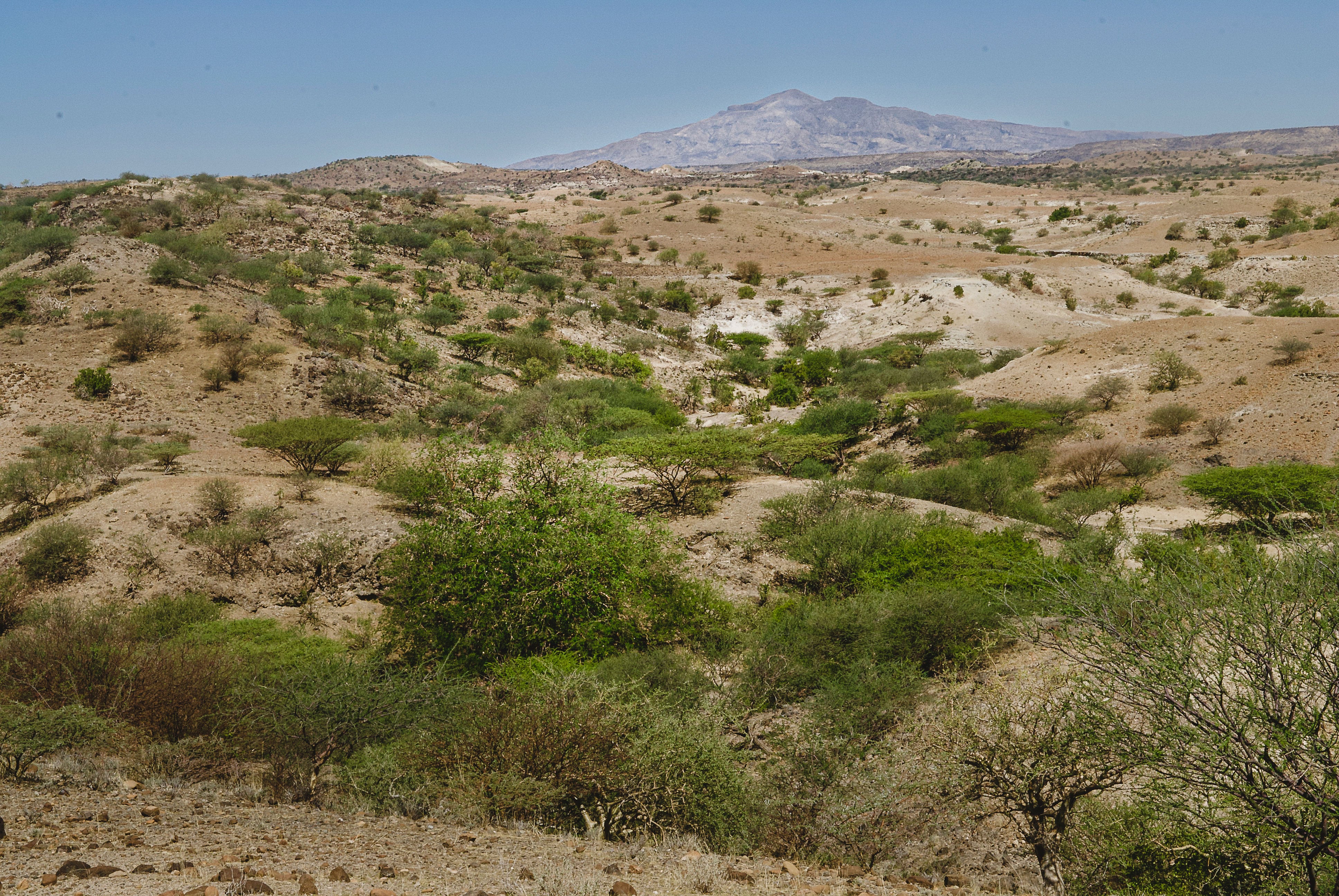 A landscape view of Worsanso-Mille