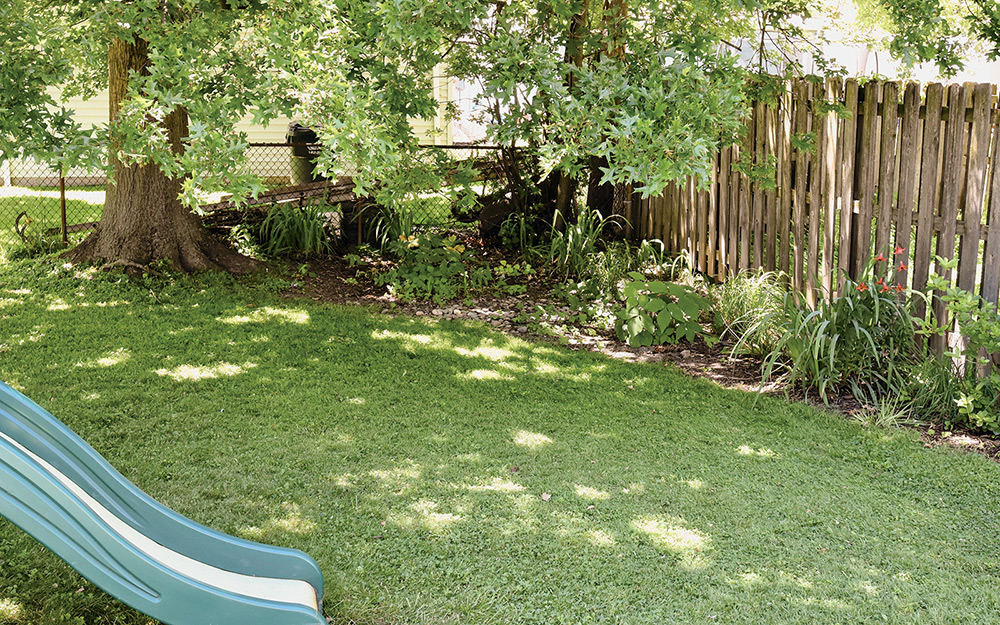 Photo of a backyard where examples of climate change can be found.